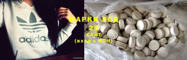 спиды Вяземский