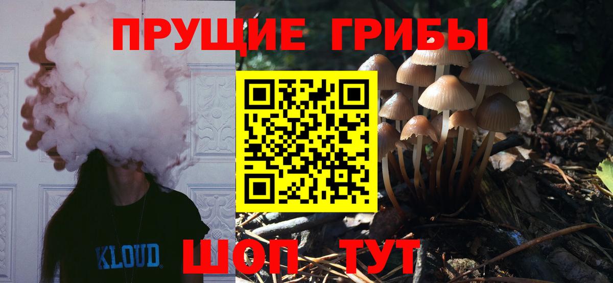 COCAIN Горно-Алтайск
