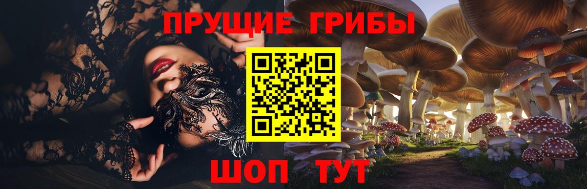 Псилоцибиновые грибы мухоморы Горно-Алтайск