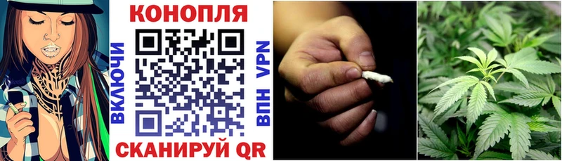 Канабис гибрид  Горно-Алтайск 